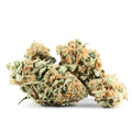 Durban Poison